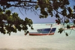 Visser westkust Mauritius.jpg